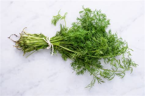 What's the dill - Here’s how they compare: Appearance: Dill seeds are small, flat, and oval-shaped with a light brown to gray color. Dill weed is lighter, softer, and greener. Instead of seeds, it contains the thin, delicate leaves and stems of the dill plant. Flavor: Dill seed has a pungent, somewhat bitter flavor reminiscent of caraway.